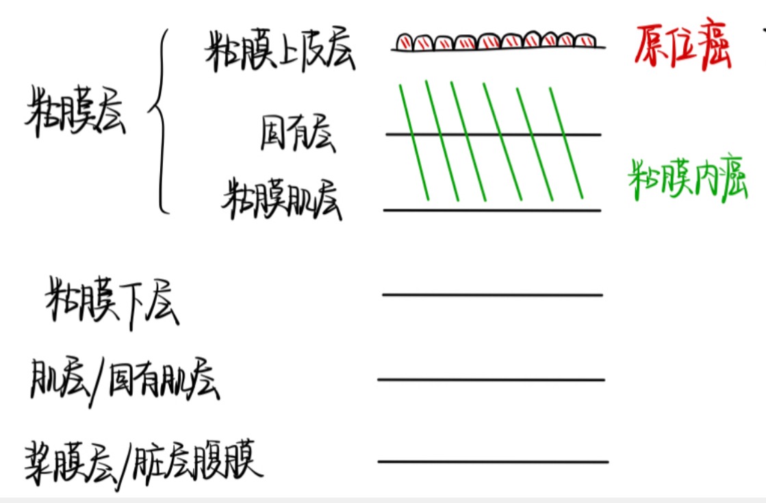 Pasted image 20250430084141.jpg