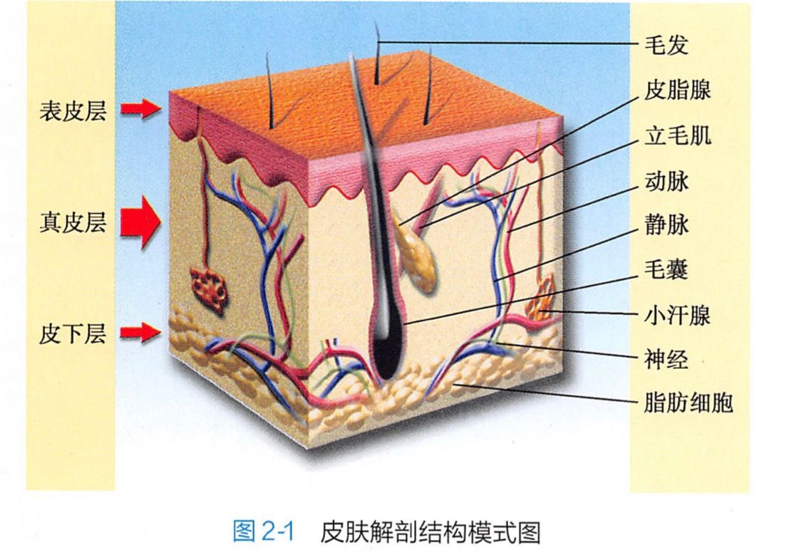 Pasted image 20250512174151.jpg