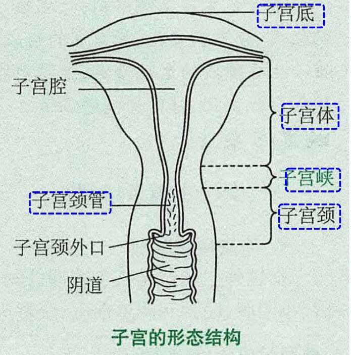 Pasted image 20250618084847.jpg